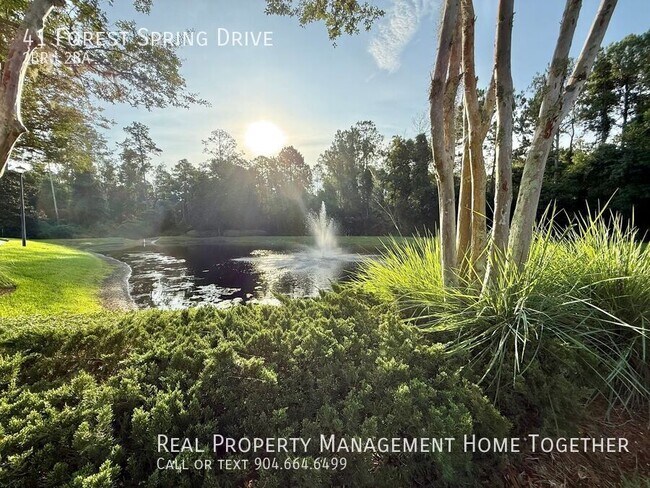 Building Photo - 41 Forest Spring Dr