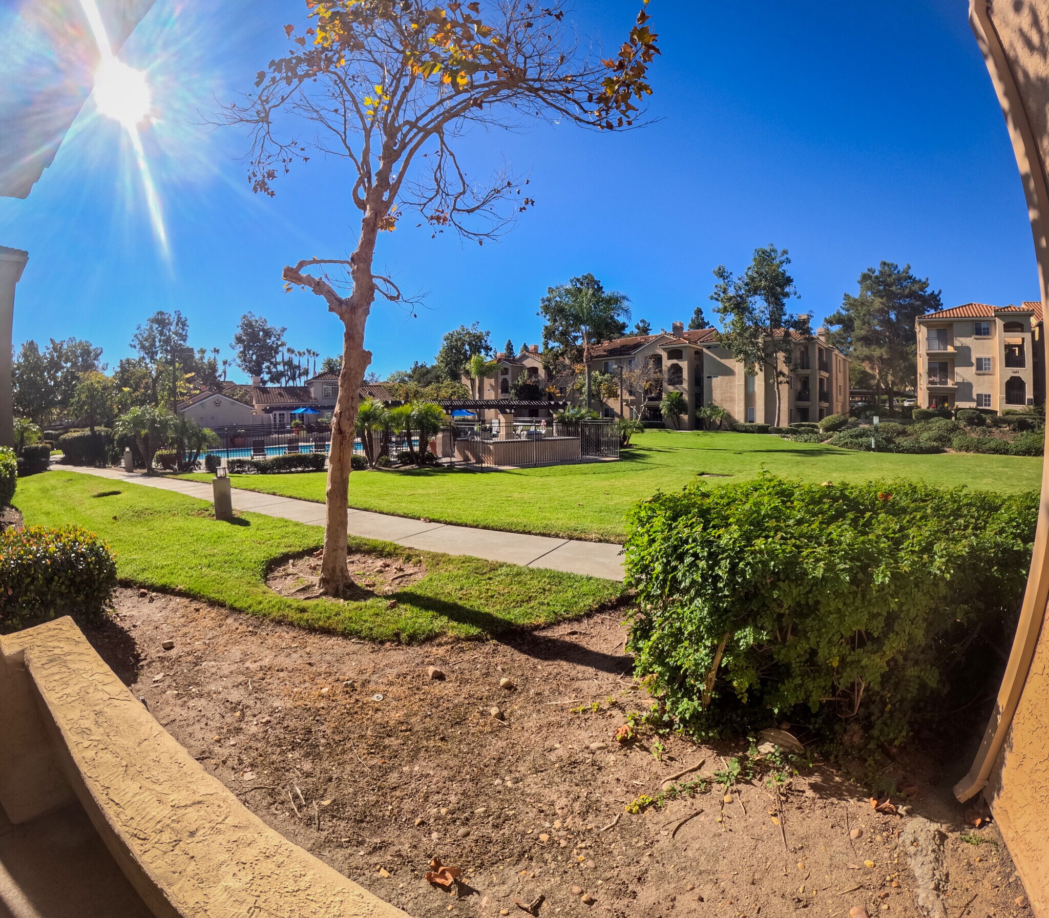 View From the Back Patio - 5654 Amaya Dr