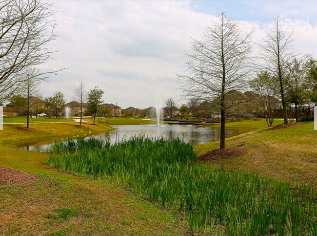 Building Photo - 7006 Paxton Ct