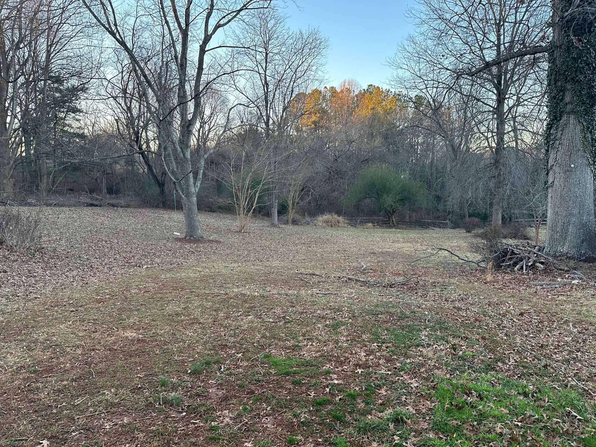 Large backyard - 1303 Longwood Ave