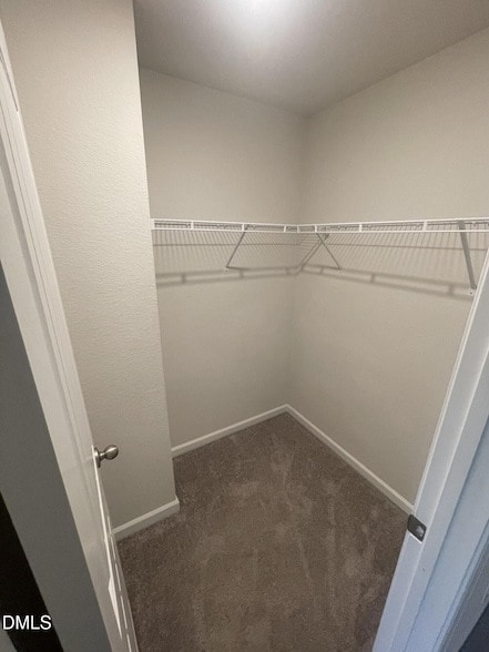 Building Photo - 2048 Wiggins Village Dr