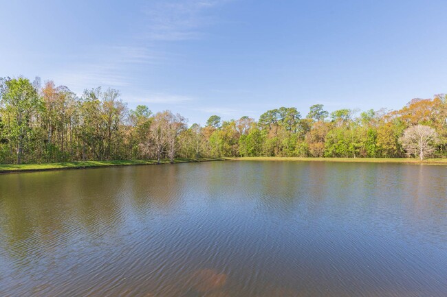 Building Photo - Wesley Chapel 4 Bed, 2.5 Baths + Loft, Poo...
