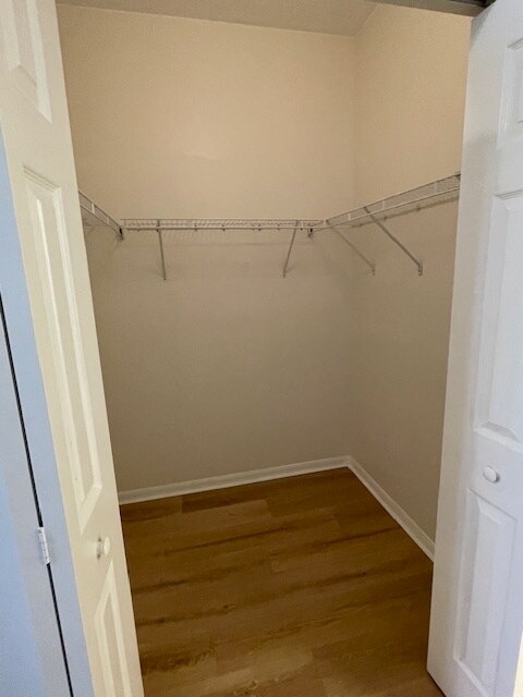 Building Photo - 15417 Bellamar Cir