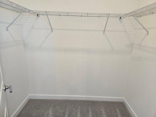 Building Photo - 4894 Waltham Forest Dr