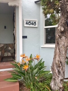 Building Photo - 4646 51st St