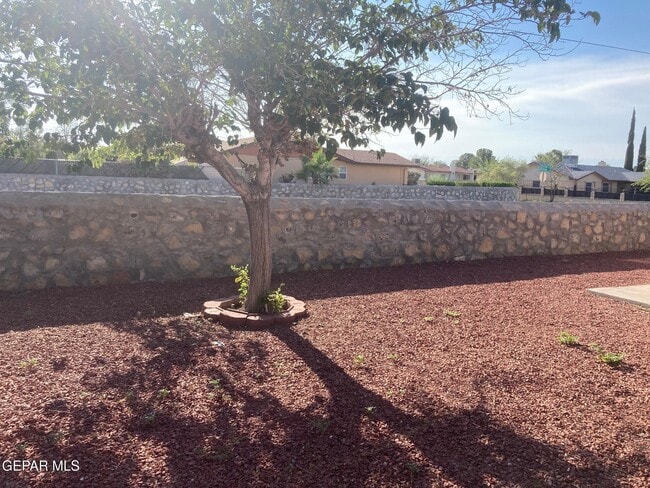 Building Photo - 10429 Birthstone Dr