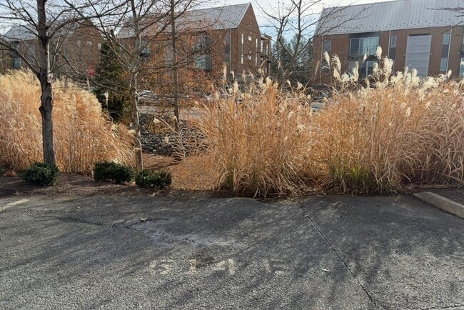 Building Photo - 514-B Trailside Avenue - Cozy 1BR Apartment on Pantops!