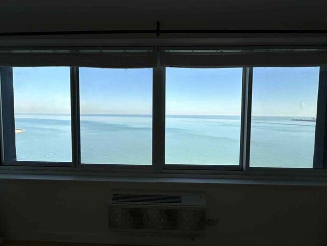 Building Photo - 1440 N Lake Shore Dr