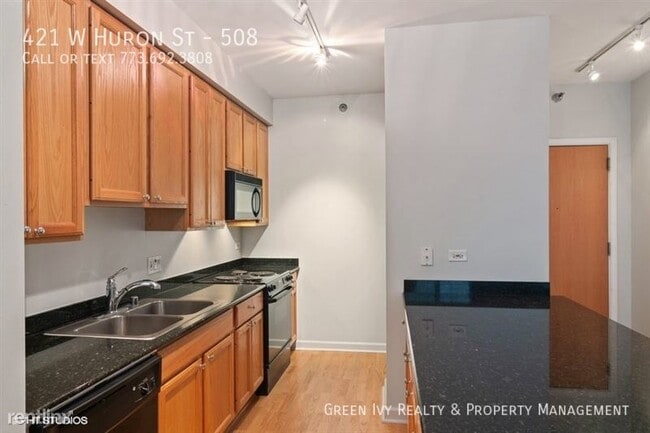 Building Photo - Stunning River North condo with Huge Patio!