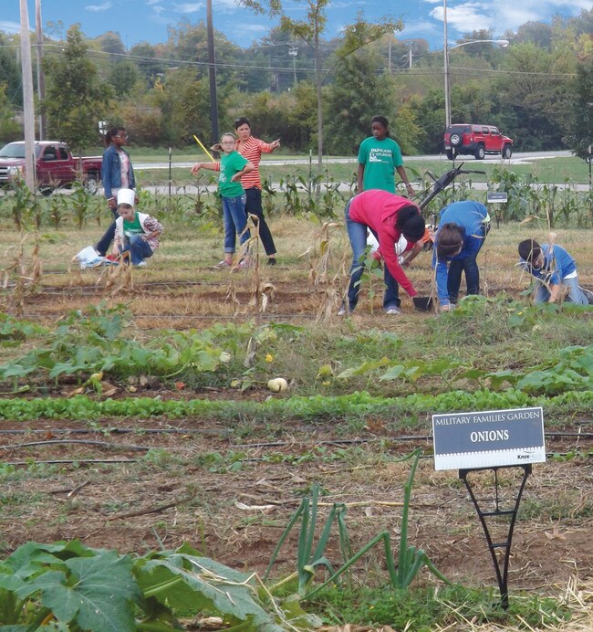 Knox Hills Fort Knox, KY Apartment Finder