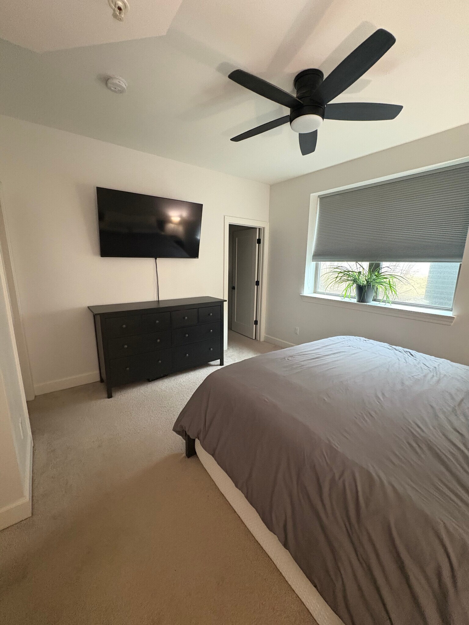 Building Photo - 1250 Diamond Ct