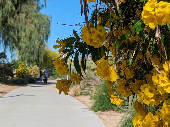Building Photo - Cornell