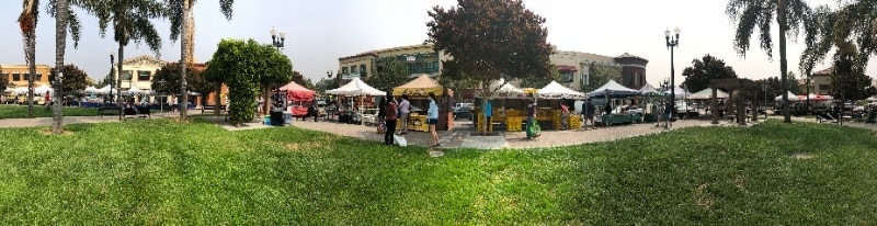 Building Photo - 3338 Ariel Joshua Ct