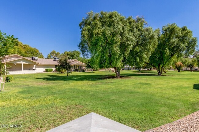 Building Photo - Your Oasis Awaits!