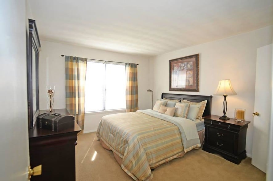 Arlay Point Norfolk Va Apartment Finder