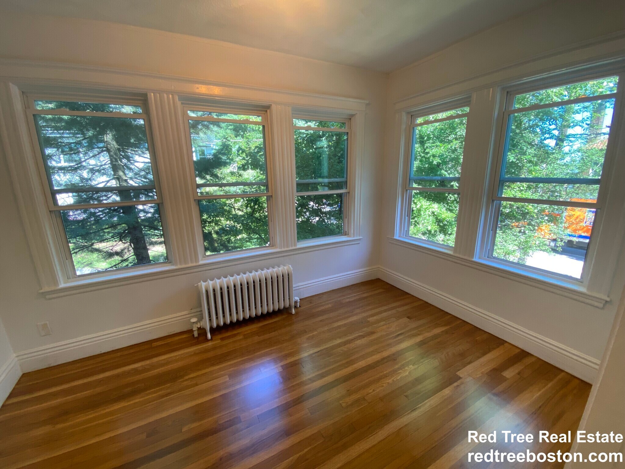 Building Photo - 244 Winchester St