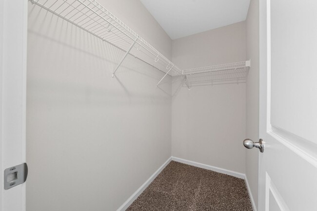 Building Photo - 1217 Dodd St