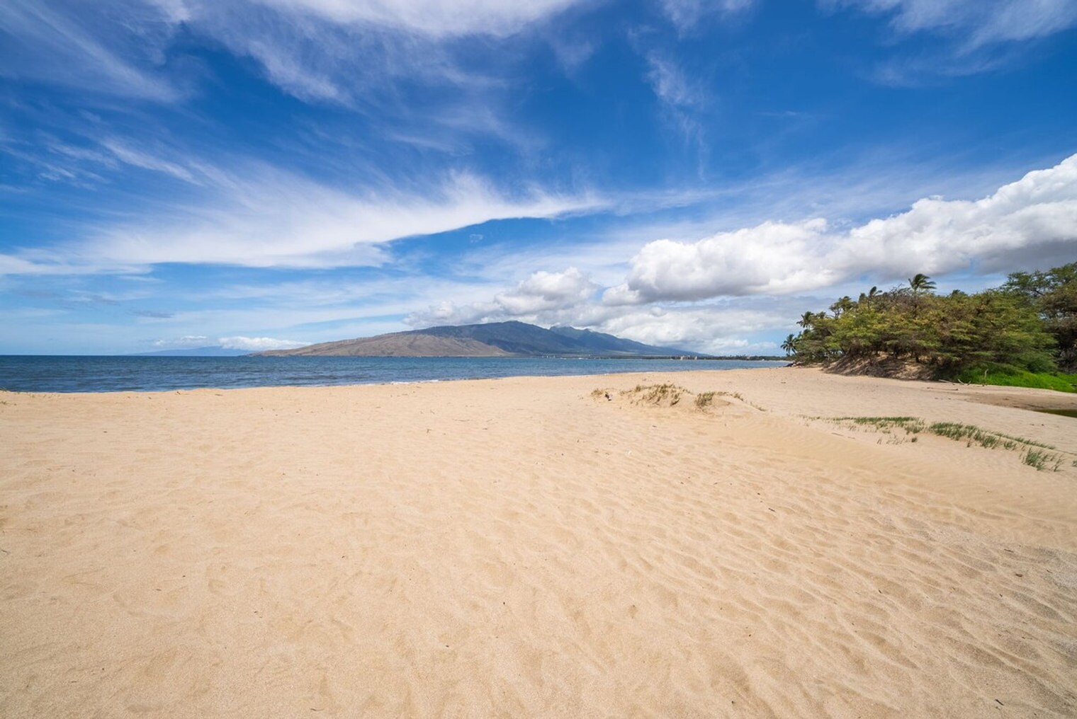 Building Photo - 679 S Kihei Rd