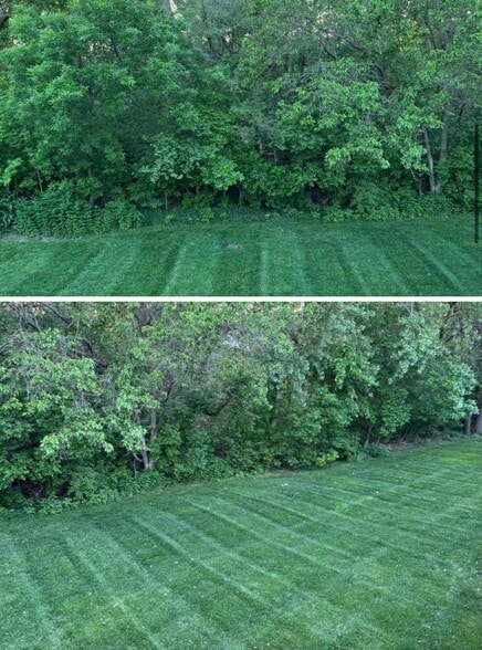 Tree lined backyard - 4418 S 178th St