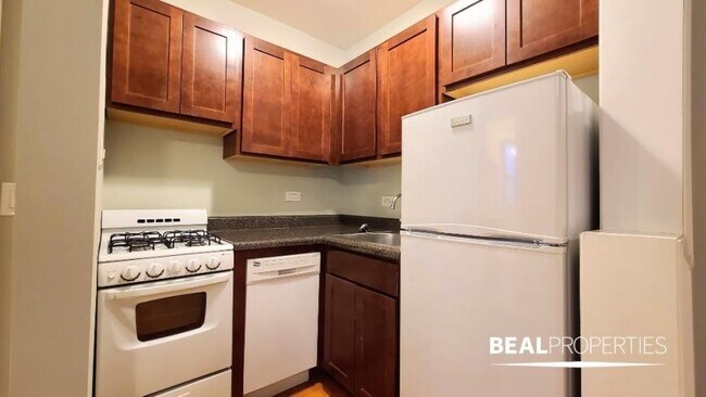 Building Photo - 0 bedroom in CHICAGO IL 60657