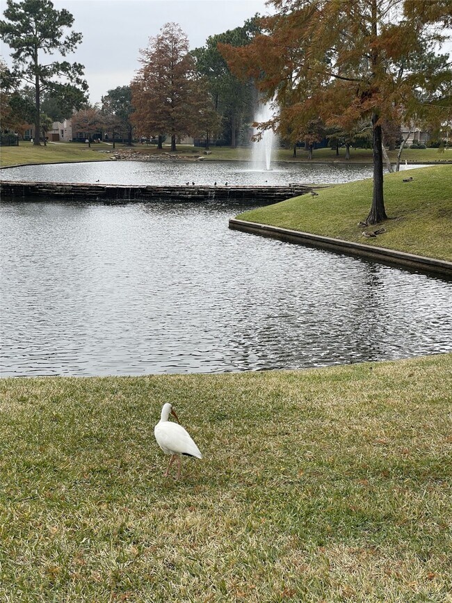 Building Photo - 5622 Lake Pl Dr