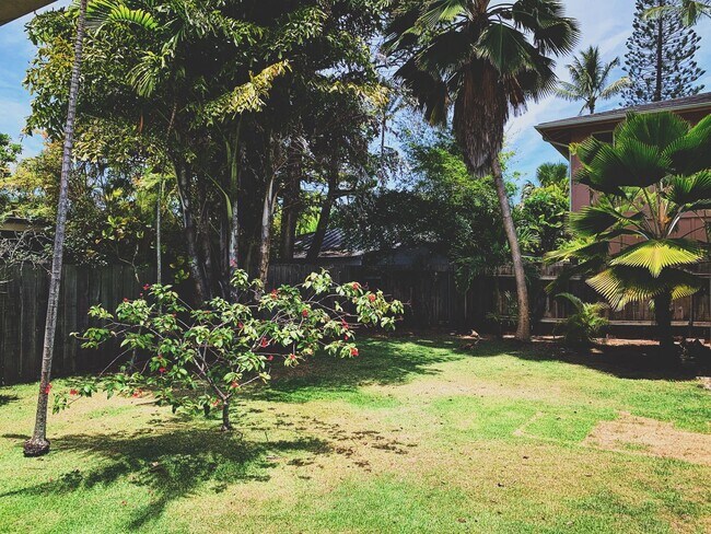 Building Photo - Schamber / Cuseo