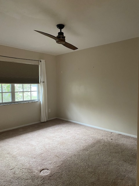 Building Photo - 1/1 walkable to downtown! $1,300 plus $50 ...