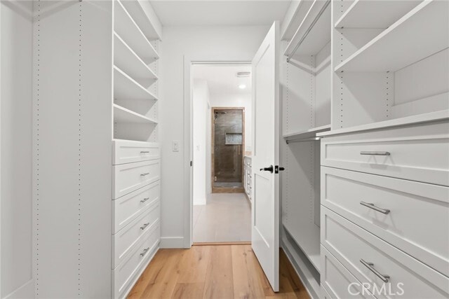 Building Photo - 34074 Colegio Dr