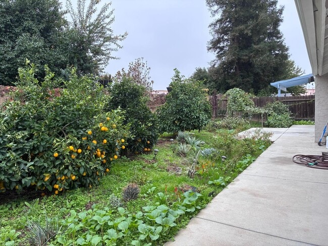 Building Photo - 1430 Fir Ave