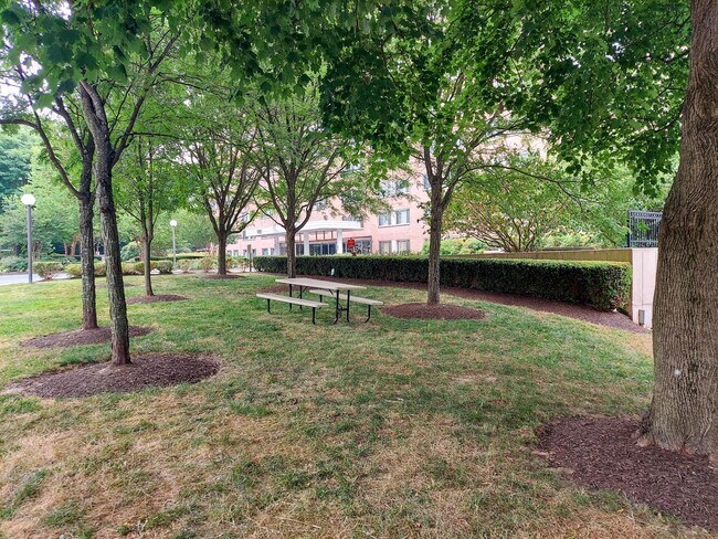 Building Photo - Spacious 1br/1bth Condo minutes from Downtown Silver Spring!