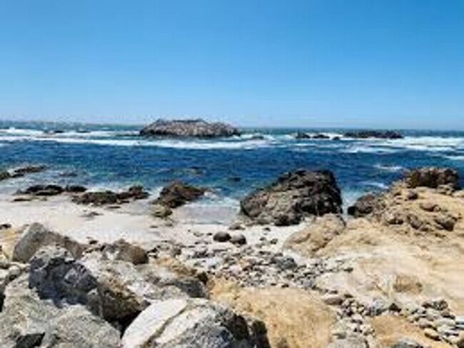 Building Photo - Beautiful 3-Bedroom Pebble Beach Home!