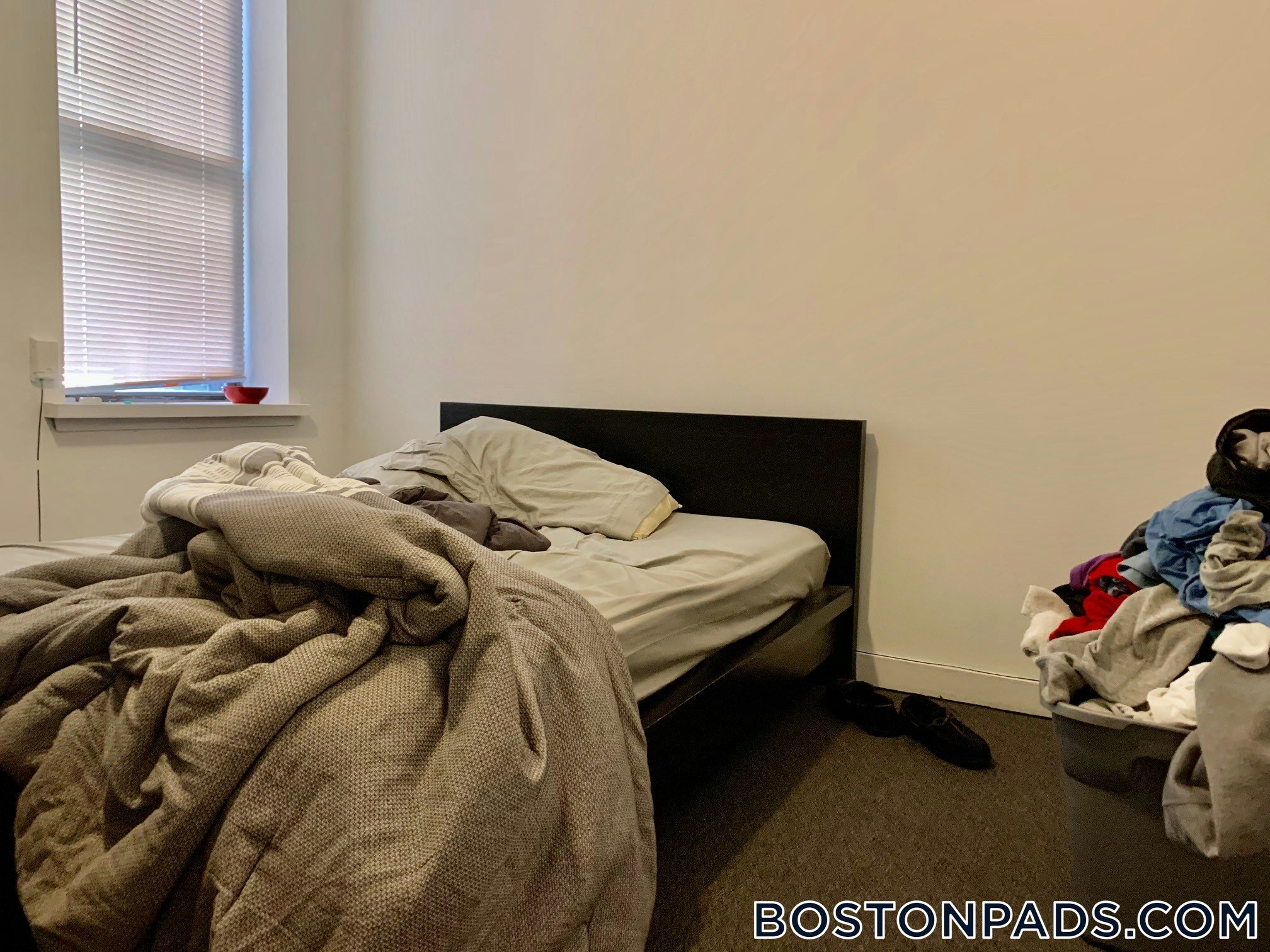 Building Photo - 776 Columbus Ave