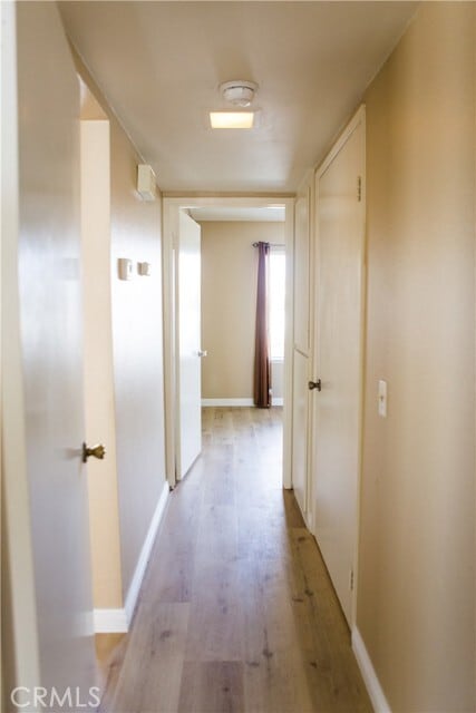 Building Photo - 11803 Amethyst Ct