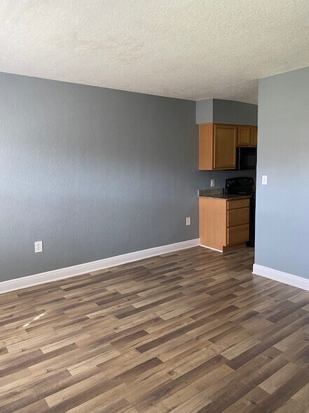 Living Room 1 - 225 E New Hampshire St