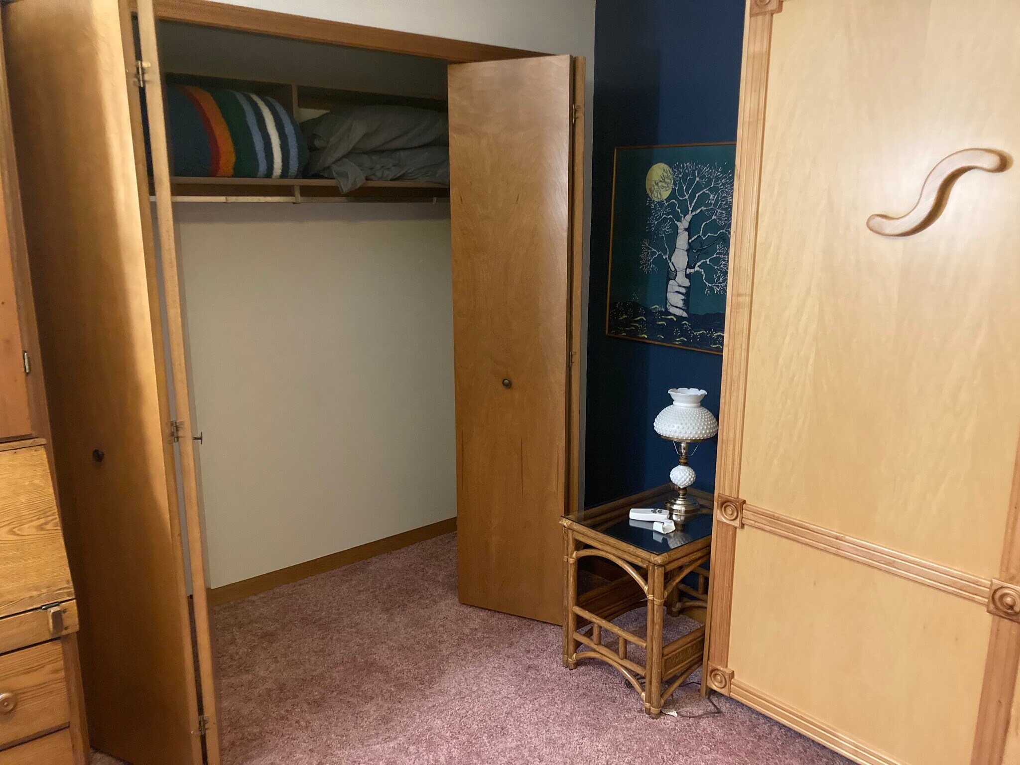 Bedroom 2 closet - 1408 Kentfield Way