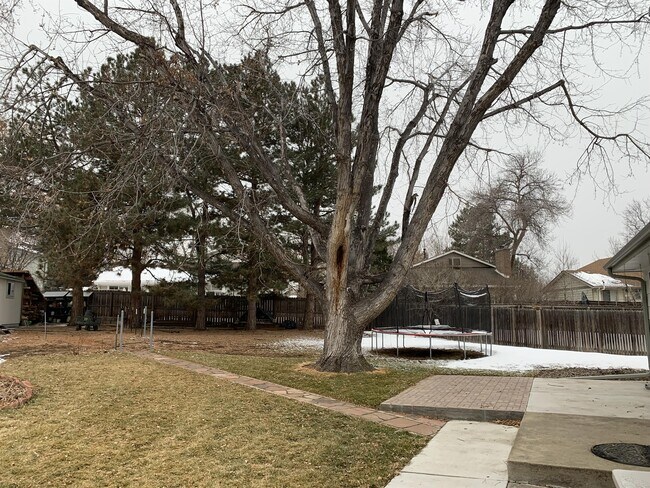 Building Photo - 6565 Zang St