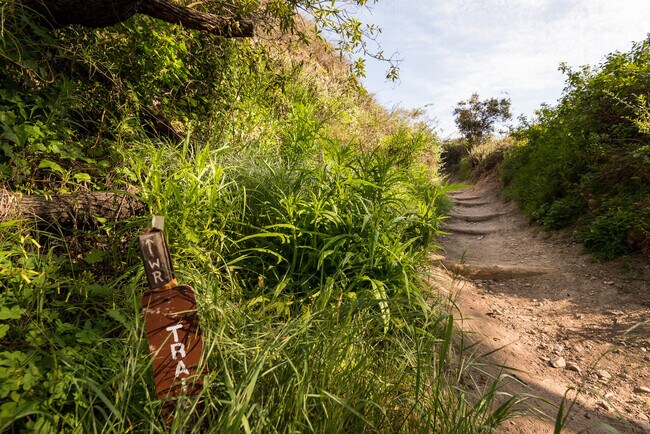 Building Photo - 919 RIVAS CANYON Rd