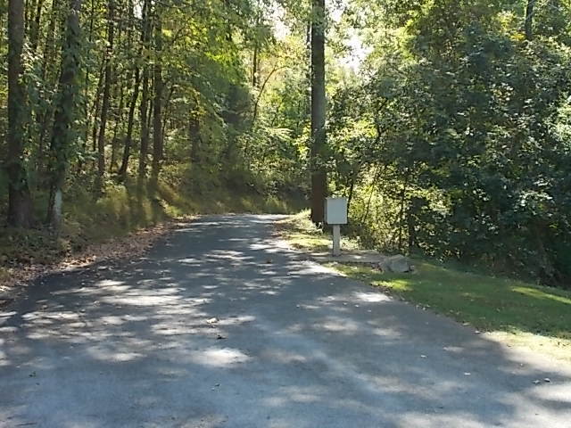 Entrance to property.Wooded - 715 Mt Airy Rd