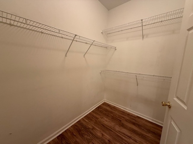 Building Photo - 2162 Sylvan Lake Dr