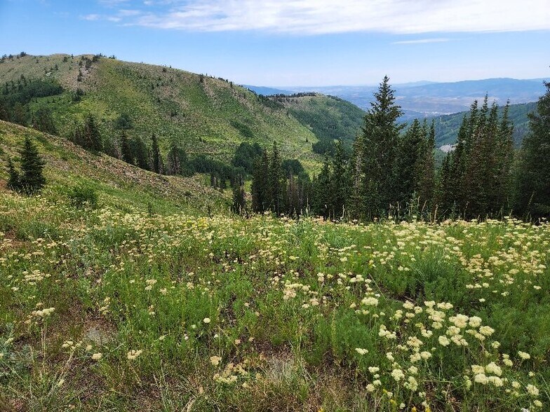 Building Photo - 12082 E Big Cottonwood Cyn Rd