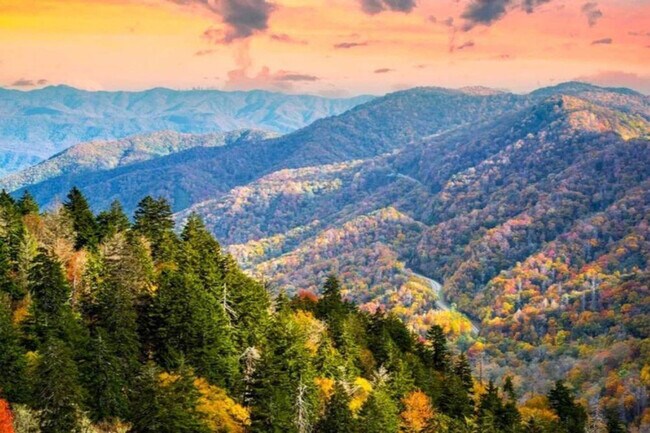 Building Photo - 801 Crystal Br Wy