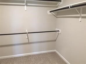 Building Photo - 3018 Erickson Manor Ct