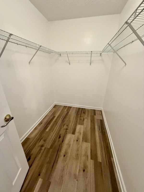 Building Photo - 204 Jessie Ct