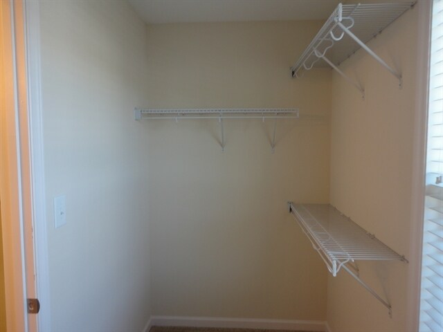 Building Photo - 2825 Tulip Poplar Cir
