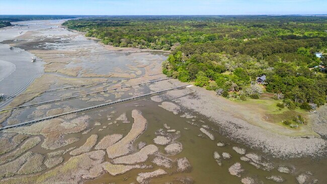 Building Photo - "Spacious 4-Bed Oasis with Guest Suite on Johns Island - Your Dream Home Awaits!"