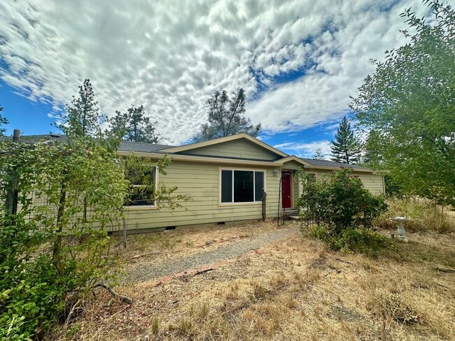 Primary Photo - 3 Bedroom 2 Bath nestled in Grass Valley