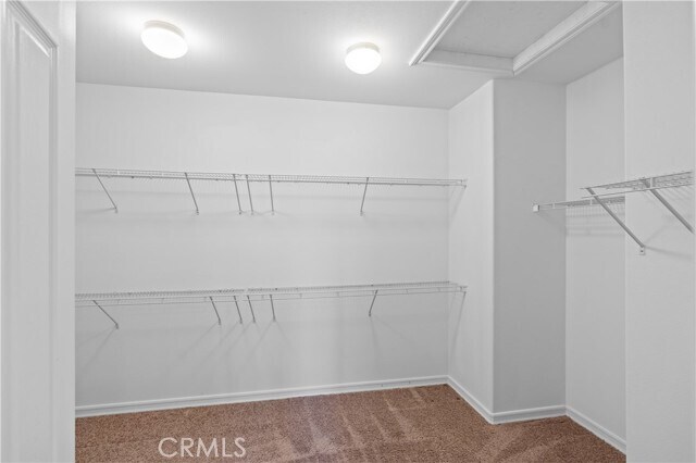 Building Photo - 22372 Amber Eve Dr