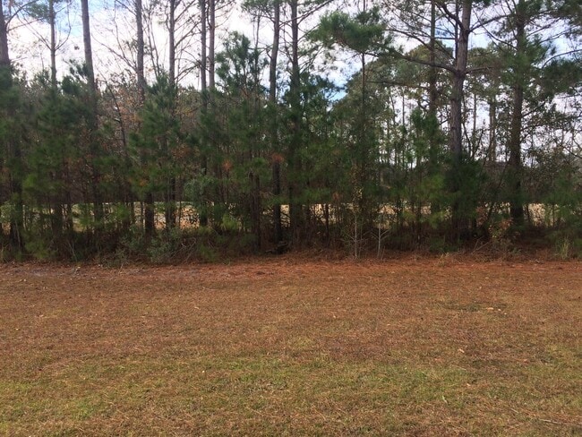 Building Photo - Beautiful townhome in International Club