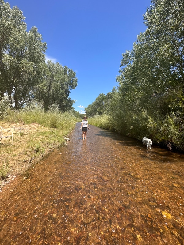 Building Photo - 28 NM-503