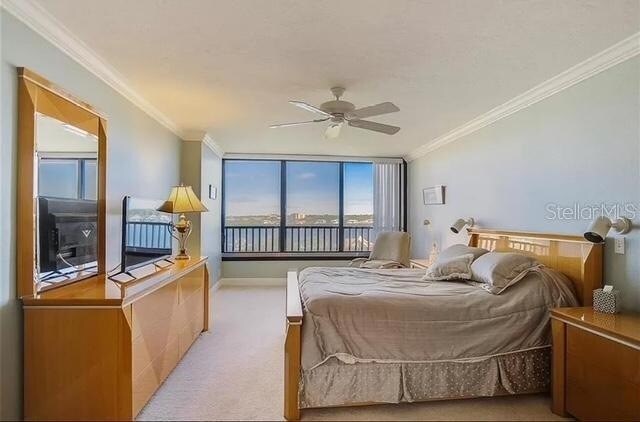 Building Photo - 5911 Midnight Pass Rd